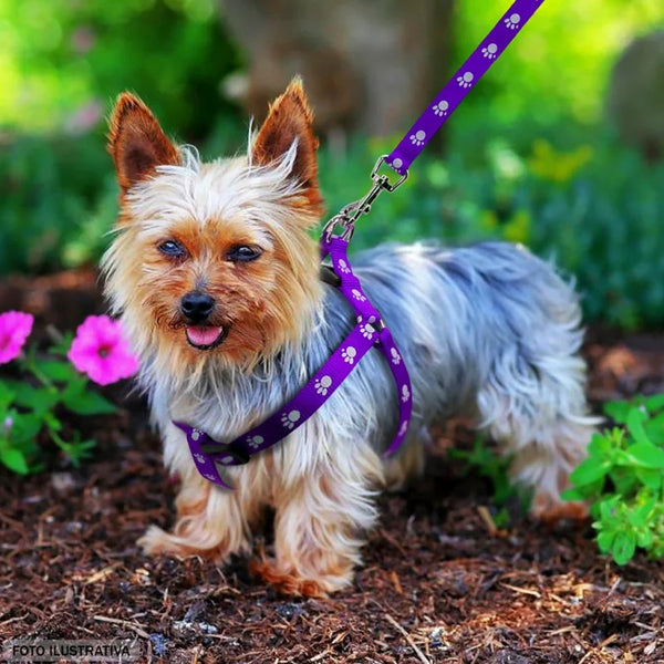 Coleira cão-guia ajustável para cães pequenos de estimação 1,20 m