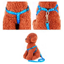 Coleira cão-guia ajustável para cães pequenos de estimação 1,20 m